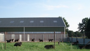speelweide